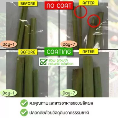 ED002I-003 สารเคลือบแนทเชอแรน 1 ลิตร  (สูตรสำหรับผลไม้ทั้งเปลือก) ฟ้า 6