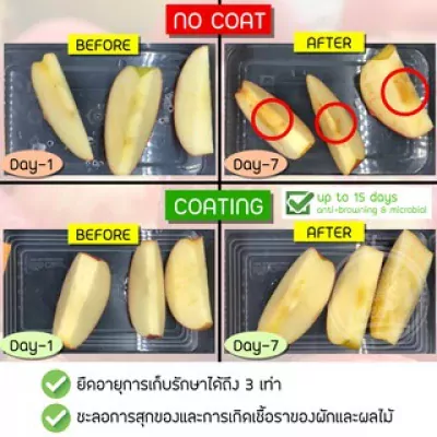 ED002I-003 สารเคลือบแนทเชอแรน 1 ลิตร  (สูตรสำหรับผลไม้ทั้งเปลือก) ฟ้า 7