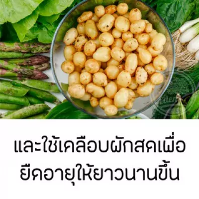 ED002I-003 สารเคลือบแนทเชอแรน 1 ลิตร  (สูตรสำหรับผลไม้ทั้งเปลือก) ฟ้า 5