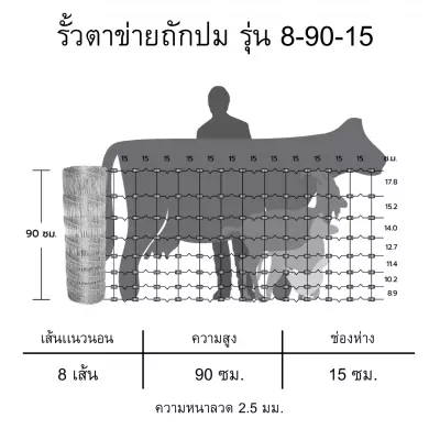 2.รูปที่ 2 รั้วตาข่ายถักปม 8- 90 - 15