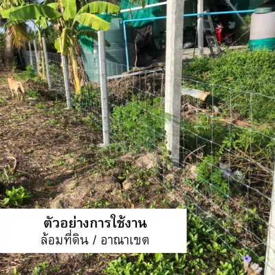 5.รูปที่ 5 รั้วตาข่ายถักปม 8-90-15