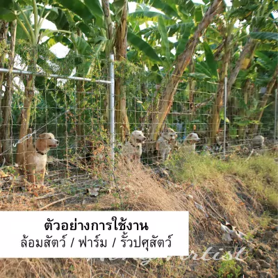 5.รูปที่ 5 รั้วตาข่ายถักปม 10-120-15