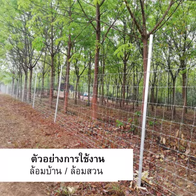 5.รูปที่ 5 รั้วตาข่ายถักปม 11-154-15