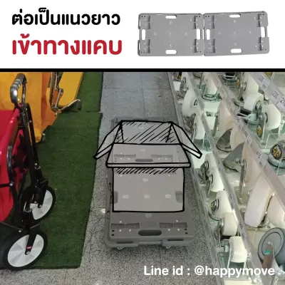 dolly_05