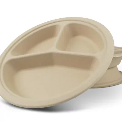 RP3 3