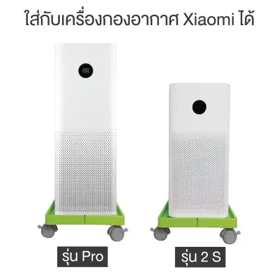 ดอลลี่สีเขียว_05
