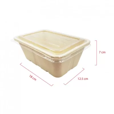 [size]-สินค้าใหม่-WP-TPP-F517-optimized