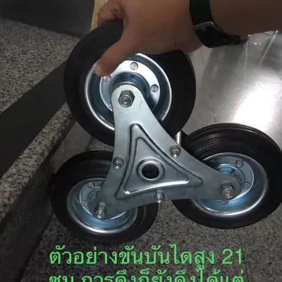 S__48365728