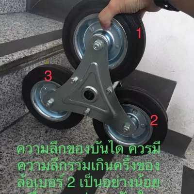 S__48365731