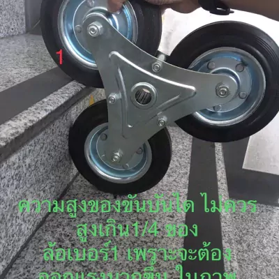 S__48365730