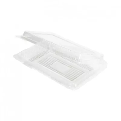 TPP_กล่อง-PET-ฝาในตัว-ขนาด-180x120x35-มม-2-optimized