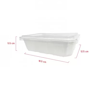 [size]-สินค้าใหม่-WP-PL-TPP-T513W-optimized