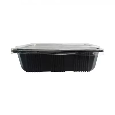 āļŠāļīāļāļāđāļēāđāļŦāļĄāđ-WP-PL-TPP-T513B-01-optimized