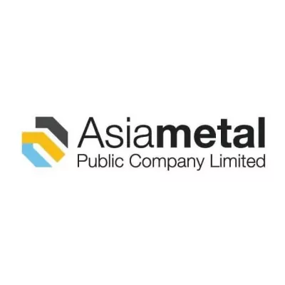 (4) Logo Asia Metal