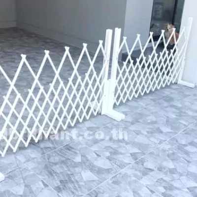 51395716_301258830574825_2049747986392547328_n.1
