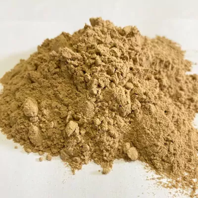 shatavari powder mywawa