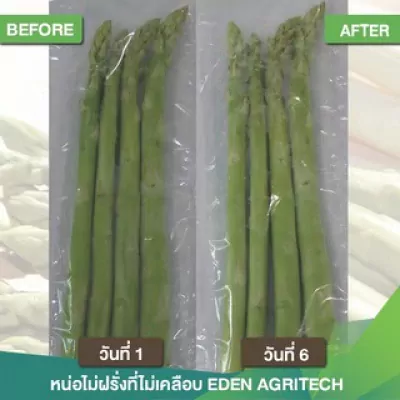 ED002I-002 สารเคลือบแนทเชอแรน 1 ลิตร  (สูตรสำหรับผักสด) เขียว 4