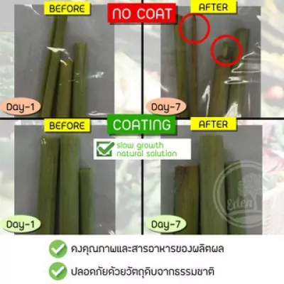 ED002I-002 สารเคลือบแนทเชอแรน 1 ลิตร  (สูตรสำหรับผักสด) เขียว 7.
