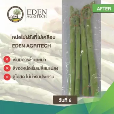 ED002I-002 สารเคลือบแนทเชอแรน 1 ลิตร  (สูตรสำหรับผักสด) เขียว 6