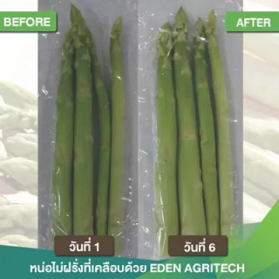 ED002I-002 สารเคลือบแนทเชอแรน 1 ลิตร  (สูตรสำหรับผักสด) เขียว 5